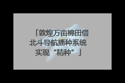 敦煌万亩棉田借北斗导航播种系统实现“精种”